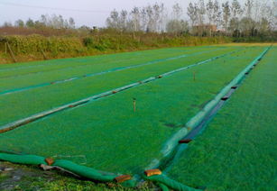 厂家专业生产优质耐用防尘网 农用遮阳网 图